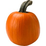 Pumpa ca 4kg Klass 1.