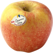 Äpple Aroma ca 190g Klass 1 ICA.