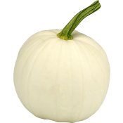 Pumpa Vit ca 4kg Klass 1 ICA.