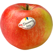 Äpple Discovery ca 190g Klass 1 ICA.