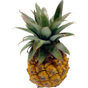 Ananas Mini ca 310 Klass 1 ICA.