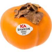 Sharon ICA ca 90g Klass 1 ICA.