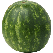 Vattenmelon Mini ca 1,95kg Klass 1 ICA.