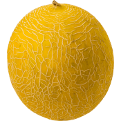 Nätmelon ca 1,4kg Klass 1 ICA.
