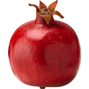 Granatäpple Klass 1.
