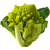 Romanesco Klass 1 ICA.
