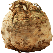 Rotselleri ca 900g Klass 1 ICA.