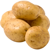 Potatis Fast ca 100g tvättad Klass 1.