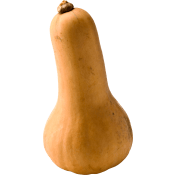 Pumpa Butternut ca 700g Klass 1 ICA.