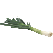 Purjolök ca 330g Klass 1 ICA.