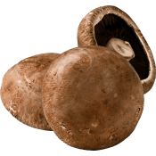 Portabella ca 100g Klass 1 ICA.