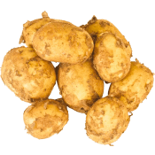Färskpotatis Otvättad ca 50g Klass 1 ICA.