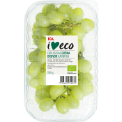 Druva Thompson gröna kärnfria seedless 500g Klass 1 ICA I love eco.