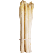 Sparris vit vättern ca20g Klass 1.
