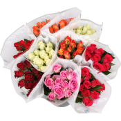 ICA Rosor 10-p 50 cm Fairtrade mix.