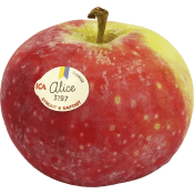 Äpple Alice ca 160g Klass 1 ICA.
