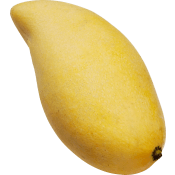 Mango gul Klass 1 ICA.