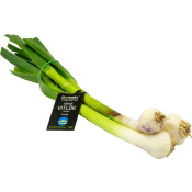 Färsk Vitlök 100g Klass 1.