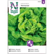 Salla Huvud Attractie 1-p Nelson Garden.