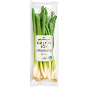 Salladslök ca 125g Klass 1 ICA.
