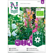 Lejongap Mix Organic 1-p Nelson Garden.