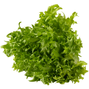 Krispsallat ca 125g Klass 1.