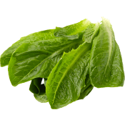 Romansallat ca 150g Klass 1.