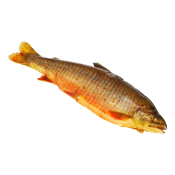 Varmrökt röding ca 330g Norums fiskrökeri.