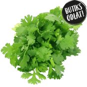 Koriander 40g Butiksodlad.