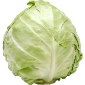 Vitkål Färsk ca 1,28kg Klass 1 ICA.