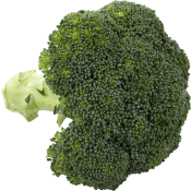 Broccoli 250g Klass 1.