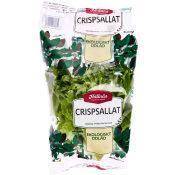 Crispsallad Ekologisk 100g Klass 1 Hällnäs Handelsträdgård.