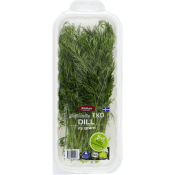 Dill EKO 25g Hällnäs Handelsträdgård Klass 1 ICA.