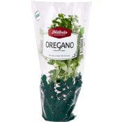 Oregano Kruka KRAV Hällnäs Handelsträdgård.