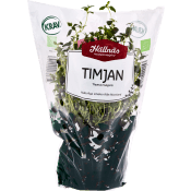Timjan Kruka KRAV Hällnäs Handelsträdgård.