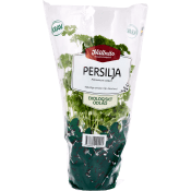 Persilja Krusbladig Kruka KRAV Hällnäs Handelsträdgård.