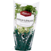 Persilja Slätbladig Kruka KRAV Hällnäs Handelsträdgård.