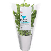 Salvia Ekologisk 460g KRAV Klass 1 ICA I love eco.