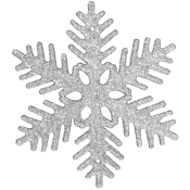 Snöflingor Silver 10cm 6-p Alrik Hedlund.