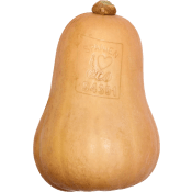 Pumpa Butternut Ekologisk ca 900g Klass 1 ICA.