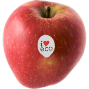 Äpple Red Delicious Ekologisk ca 170g Klass 1 ICA I love eco.