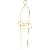 Amaryllisstöd Guld 1-p.