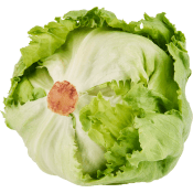 Isbergssallat Eko ca 340g Klass 1 ICA.