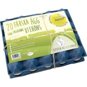Ägg Frigående 20-p Skogens Ägg.