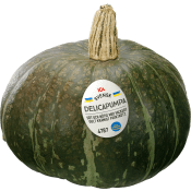 Pumpa Delica ca 1kg Klass 1 ICA.