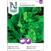 Sallat Plock Australischer 1-p Nelson Garden.
