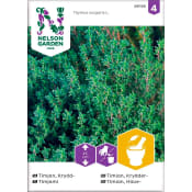 Timjan Krydd 1-p Nelson Garden.