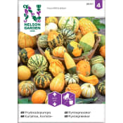 Prydnadspumpa Blandade sorter 1-p Nelson Garden.