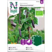 Ärt Sprit Blauwschokker Organic 1-p Nelson Garden.