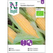 Majs Golden Bantam Organic 1-p Nelson Garden.